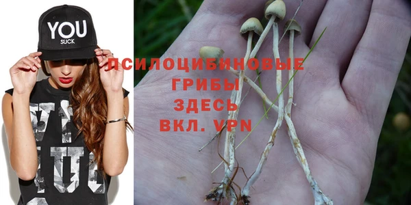 соль ск Алексеевка