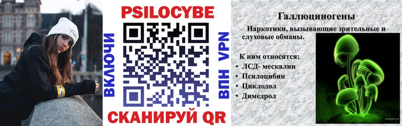 купить   мега tor  Псилоцибиновые грибы мицелий  Лахденпохья 